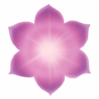 Le chakra du siège de l’âme correspond au 7e rayon, de couleur violet, situé entre le nombril et la base de la colonne vertébrale, relié aux organes d’élimination et de reproduction, destiné à exprimer la liberté, la transcendance et la justice.