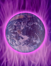 image - La flamme violette 